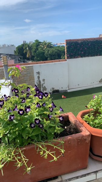 WhatsApp Image 2021-11-30 at 10.44.25 AM (1).jpeg